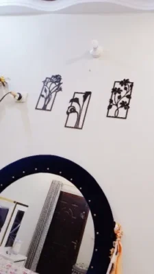 Decorative set of 3 flower frame Wall Shelf MDF (3FFS) photo review